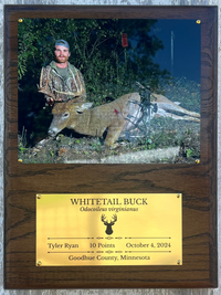 Trophy Plaque - Landscape